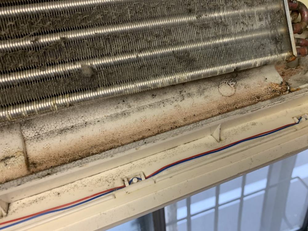 エアコン内部の熱交換器とドレンパン。下端に黒カビが層になって付着している