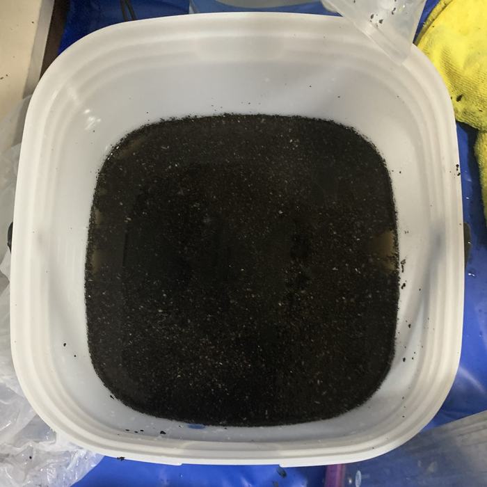 洗浄で流れ出た汚水がバケツ一杯にたまっている